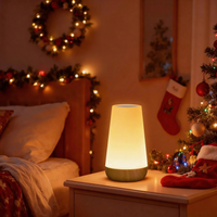 Rechargeable Touch Bedside Night Light – 13 Color LED Table Lamp with Remote Control, Dimmable Brightness & Portable Bedroom Ambient Lighting